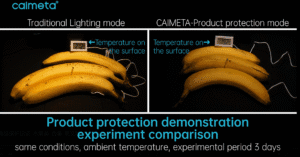 food protection from AI Lighting