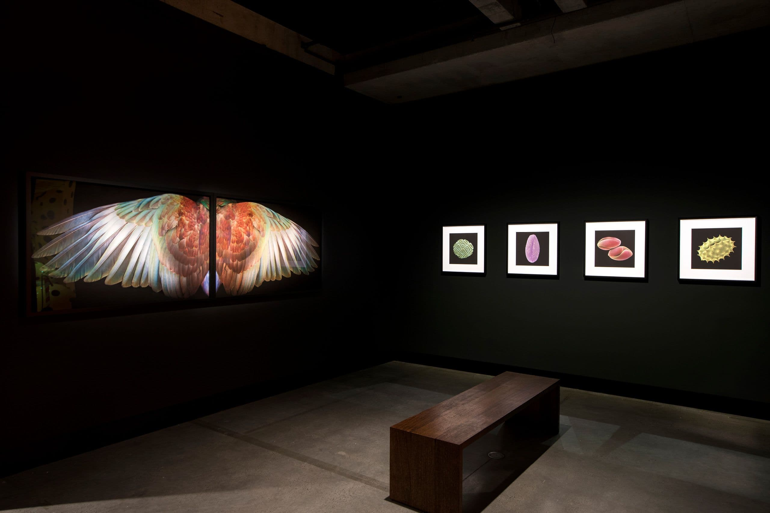 Museum exhibition space with conservation-grade illumination
