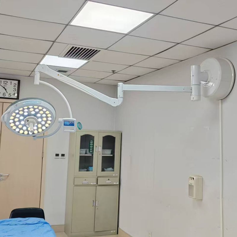 Professional grooming workspace with focused task lighting for precision work