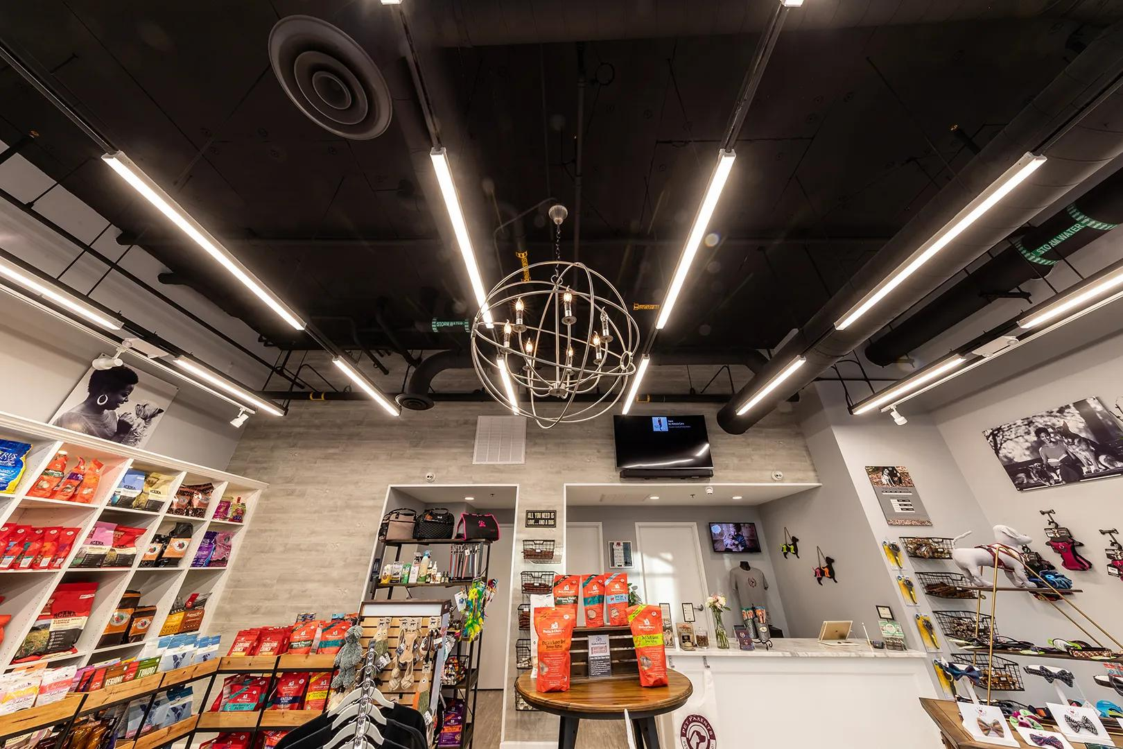 Modern pet store interior with warm ambient lighting and organized product displays